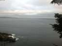 ./images/koeye/fitz-hugh/20210704/fitz-hugh20210704_060001.jpg