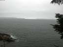 ./images/koeye/fitz-hugh/20210704/fitz-hugh20210704_080002.jpg