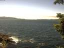 ./images/koeye/fitz-hugh/20210704/fitz-hugh20210704_140002.jpg