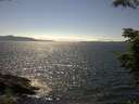 ./images/koeye/fitz-hugh/20210704/fitz-hugh20210704_160002.jpg