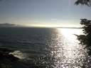 ./images/koeye/fitz-hugh/20210704/fitz-hugh20210704_180001.jpg