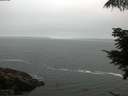 ./images/koeye/fitz-hugh/20210705/fitz-hugh20210705_060001.jpg