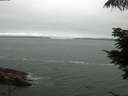 ./images/koeye/fitz-hugh/20210705/fitz-hugh20210705_080002.jpg
