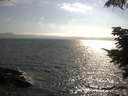 ./images/koeye/fitz-hugh/20210705/fitz-hugh20210705_180003.jpg