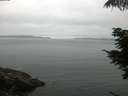 ./images/koeye/fitz-hugh/20210706/fitz-hugh20210706_060001.jpg