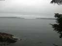 ./images/koeye/fitz-hugh/20210706/fitz-hugh20210706_080002.jpg