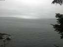 ./images/koeye/fitz-hugh/20210706/fitz-hugh20210706_120001.jpg
