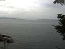 ./images/koeye/fitz-hugh/20210706/fitz-hugh20210706_140002.jpg