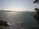 ./images/koeye/fitz-hugh/20210706/fitz-hugh20210706_160001.jpg