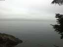 ./images/koeye/fitz-hugh/20210707/fitz-hugh20210707_060001.jpg
