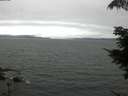 ./images/koeye/fitz-hugh/20210707/fitz-hugh20210707_140002.jpg