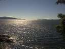 ./images/koeye/fitz-hugh/20210708/fitz-hugh20210708_160002.jpg