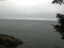 ./images/koeye/fitz-hugh/20210709/fitz-hugh20210709_080001.jpg