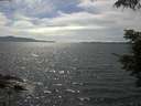 ./images/koeye/fitz-hugh/20210709/fitz-hugh20210709_160002.jpg