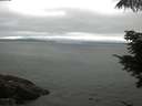 ./images/koeye/fitz-hugh/20210710/fitz-hugh20210710_060002.jpg