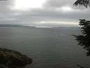 ./images/koeye/fitz-hugh/20210710/fitz-hugh20210710_080001.jpg
