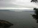 ./images/koeye/fitz-hugh/20210710/fitz-hugh20210710_100002.jpg
