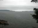./images/koeye/fitz-hugh/20210710/fitz-hugh20210710_120001.jpg