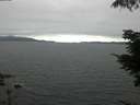 ./images/koeye/fitz-hugh/20210710/fitz-hugh20210710_140001.jpg