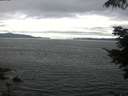 ./images/koeye/fitz-hugh/20210710/fitz-hugh20210710_160002.jpg