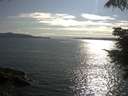 ./images/koeye/fitz-hugh/20210710/fitz-hugh20210710_180001.jpg