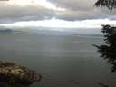 ./images/koeye/fitz-hugh/20210711/fitz-hugh20210711_080001.jpg
