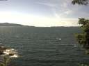 ./images/koeye/fitz-hugh/20210711/fitz-hugh20210711_140001.jpg
