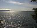 ./images/koeye/fitz-hugh/20210711/fitz-hugh20210711_160002.jpg