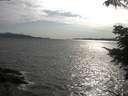 ./images/koeye/fitz-hugh/20210711/fitz-hugh20210711_180002.jpg