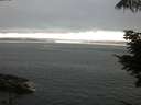 ./images/koeye/fitz-hugh/20210712/fitz-hugh20210712_060002.jpg