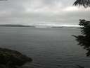 ./images/koeye/fitz-hugh/20210712/fitz-hugh20210712_080002.jpg