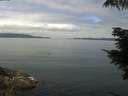 ./images/koeye/fitz-hugh/20210712/fitz-hugh20210712_120002.jpg