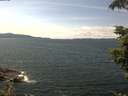 ./images/koeye/fitz-hugh/20210712/fitz-hugh20210712_140002.jpg