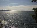./images/koeye/fitz-hugh/20210712/fitz-hugh20210712_160001.jpg