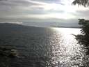 ./images/koeye/fitz-hugh/20210712/fitz-hugh20210712_180002.jpg