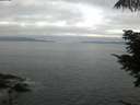 ./images/koeye/fitz-hugh/20210713/fitz-hugh20210713_060002.jpg
