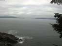 ./images/koeye/fitz-hugh/20210713/fitz-hugh20210713_080002.jpg