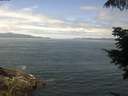 ./images/koeye/fitz-hugh/20210713/fitz-hugh20210713_120002.jpg