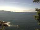./images/koeye/fitz-hugh/20210713/fitz-hugh20210713_140002.jpg