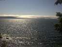 ./images/koeye/fitz-hugh/20210713/fitz-hugh20210713_160001.jpg