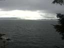 ./images/koeye/fitz-hugh/20210713/fitz-hugh20210713_180002.jpg