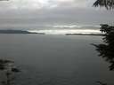./images/koeye/fitz-hugh/20210714/fitz-hugh20210714_060001.jpg