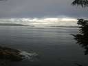 ./images/koeye/fitz-hugh/20210714/fitz-hugh20210714_080002.jpg
