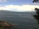 ./images/koeye/fitz-hugh/20210714/fitz-hugh20210714_120001.jpg
