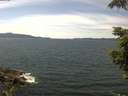 ./images/koeye/fitz-hugh/20210714/fitz-hugh20210714_140002.jpg