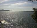./images/koeye/fitz-hugh/20210714/fitz-hugh20210714_160001.jpg