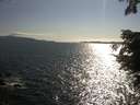 ./images/koeye/fitz-hugh/20210714/fitz-hugh20210714_180002.jpg