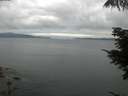 ./images/koeye/fitz-hugh/20210715/fitz-hugh20210715_060001.jpg