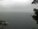 ./images/koeye/fitz-hugh/20210716/fitz-hugh20210716_080002.jpg