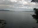 ./images/koeye/fitz-hugh/20210718/fitz-hugh20210718_080001.jpg